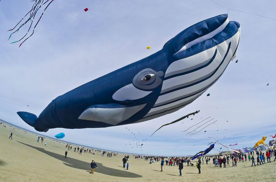 French Kiting Festival 2015. This one is called "Your Momma".