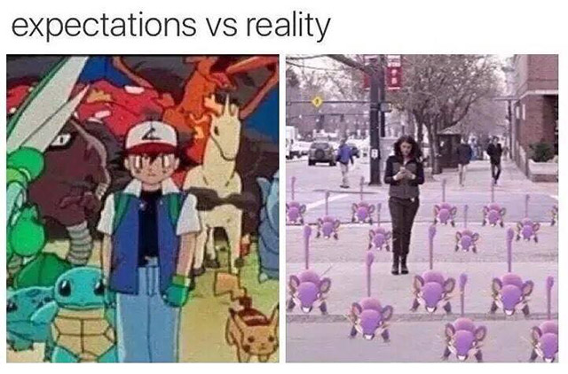 cartoon - expectations vs reality