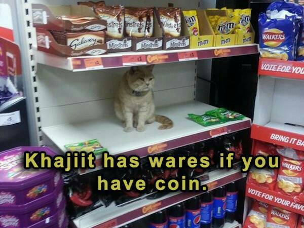 supermarket cat - 19 e stres instrels Model in Walkers y free mm mama Vote For You Bring It Ba Khajiit has wares if you have coin. . Vote For Your Favc Walkers