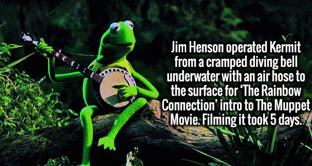 kermit the frog song - Jim Henson operated Kermit from a cramped diving bell underwater with an air hose to the surface for 'The Rainbow Connection' intro to The Muppet Movie. Filming it took 5 days.