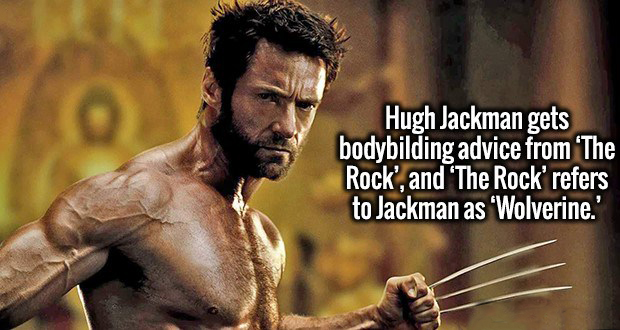 Hugh Jackman gets bodybilding advice from The Rock', and 'The Rock' refers to Jackman as 'Wolverine.'