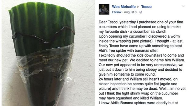 Company's Hilarious Response After Guy Finds Worm In Cucumber