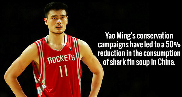 Yao Ming's conservation campaigns have led to a 50% reduction in the consumption of shark fin soup in China. Rockets