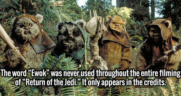 may the fourth be with you ewoks - The word "Ewok" was never used throughout the entire filming of Return of the Jedi." It only appears in the credits.