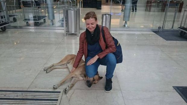 The woman, a stewardess by the name Olivia Sievers walked out her hotel the next day only to notice the dog was waiting for her.