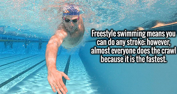 water - Freestyle swimming means you can do any stroke however, almost everyone does the crawl because it is the fastest.