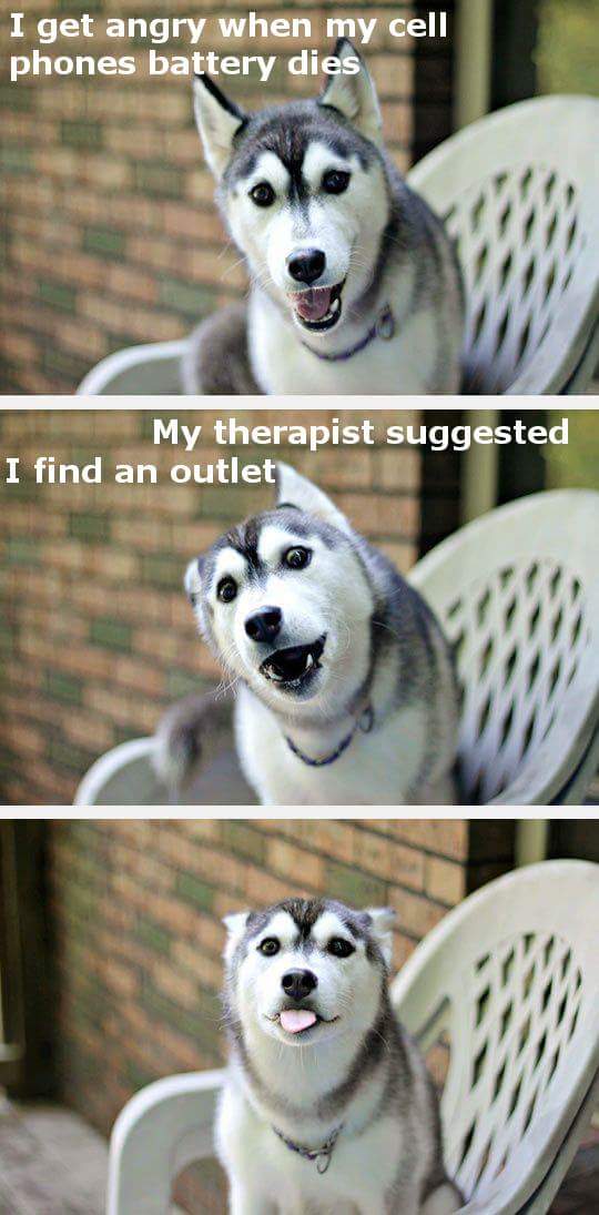 funny husky - I get angry when my cell phones battery dies My therapist suggested I find an outlet