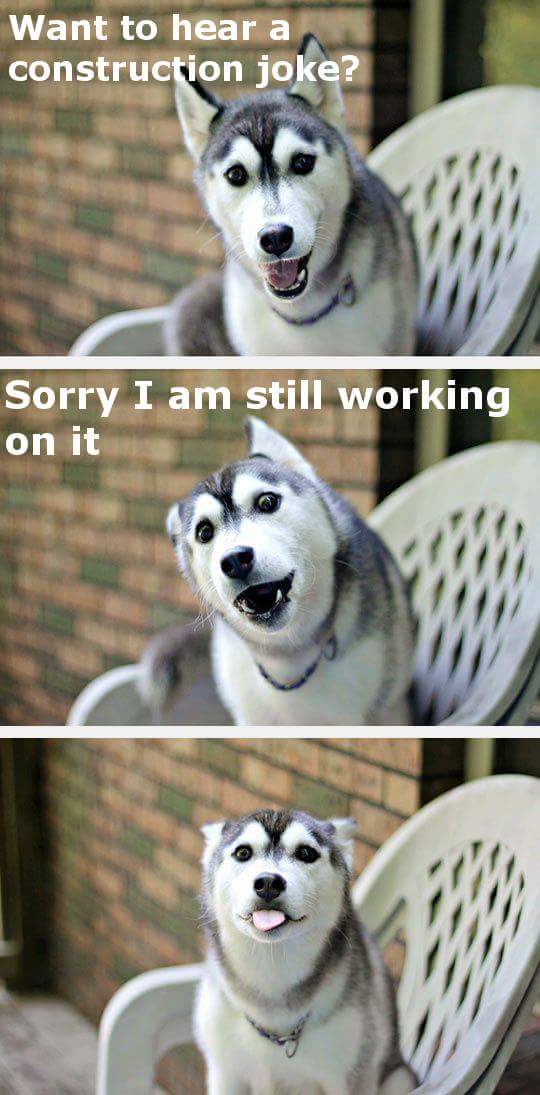 funny husky - Want to hear a construction joke? Sorry I am still working on it