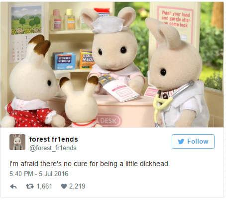 Funny store sylvanian families