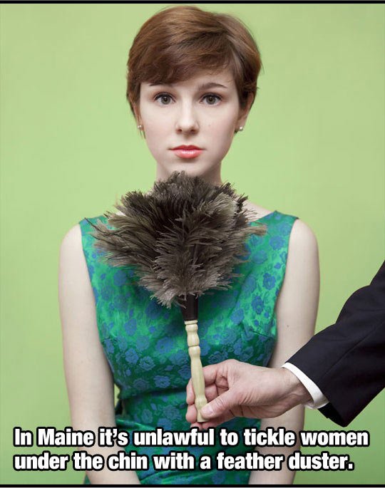 olivia locher i fought the law - In Maine it's unlawful to tickle women under the chin with a feather duster.