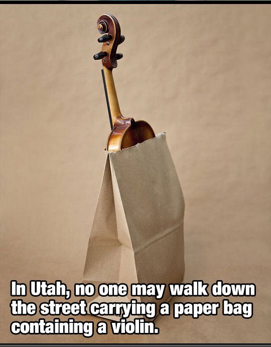 string instrument - In Utah, no one may walk down the street carrying a paper bag containing a violin.