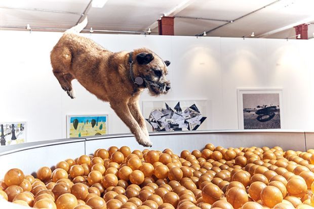 First Of Its Kind Art Gallery For Dogs