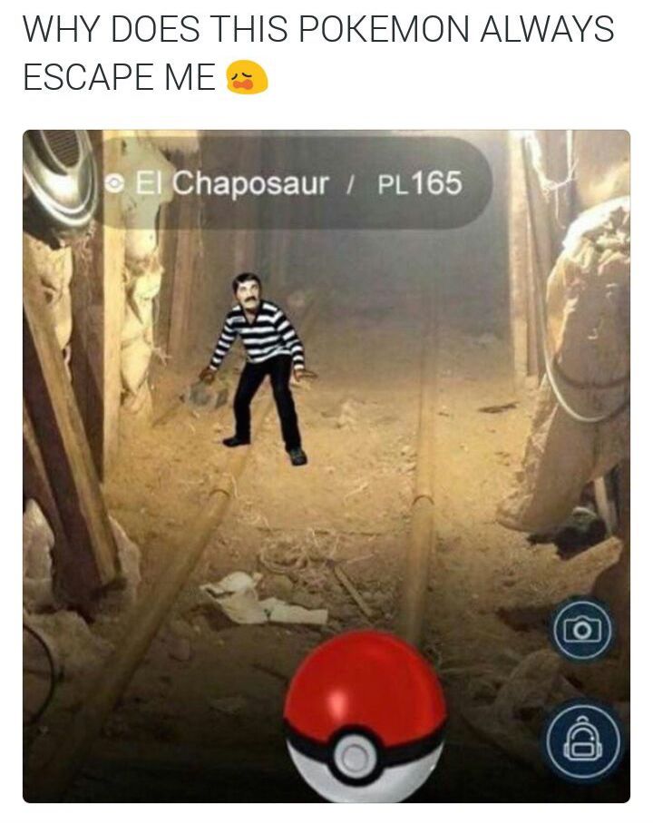 photo caption - Why Does This Pokemon Always Escape Me C El Chaposaur PL165