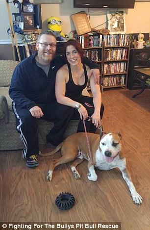 But Hero survived and received a prize- a home. He was adopted by Sara and David Simpson, and already has two doggy friends in his new family.