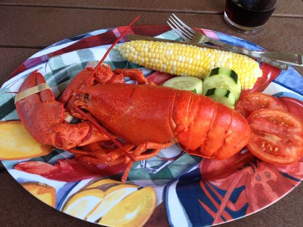 Northern Alberta Lobster Festival was supposed to be a big deal. One hundred live lobsters with 145 pounds of the delectable meat were going to arrive by plane.