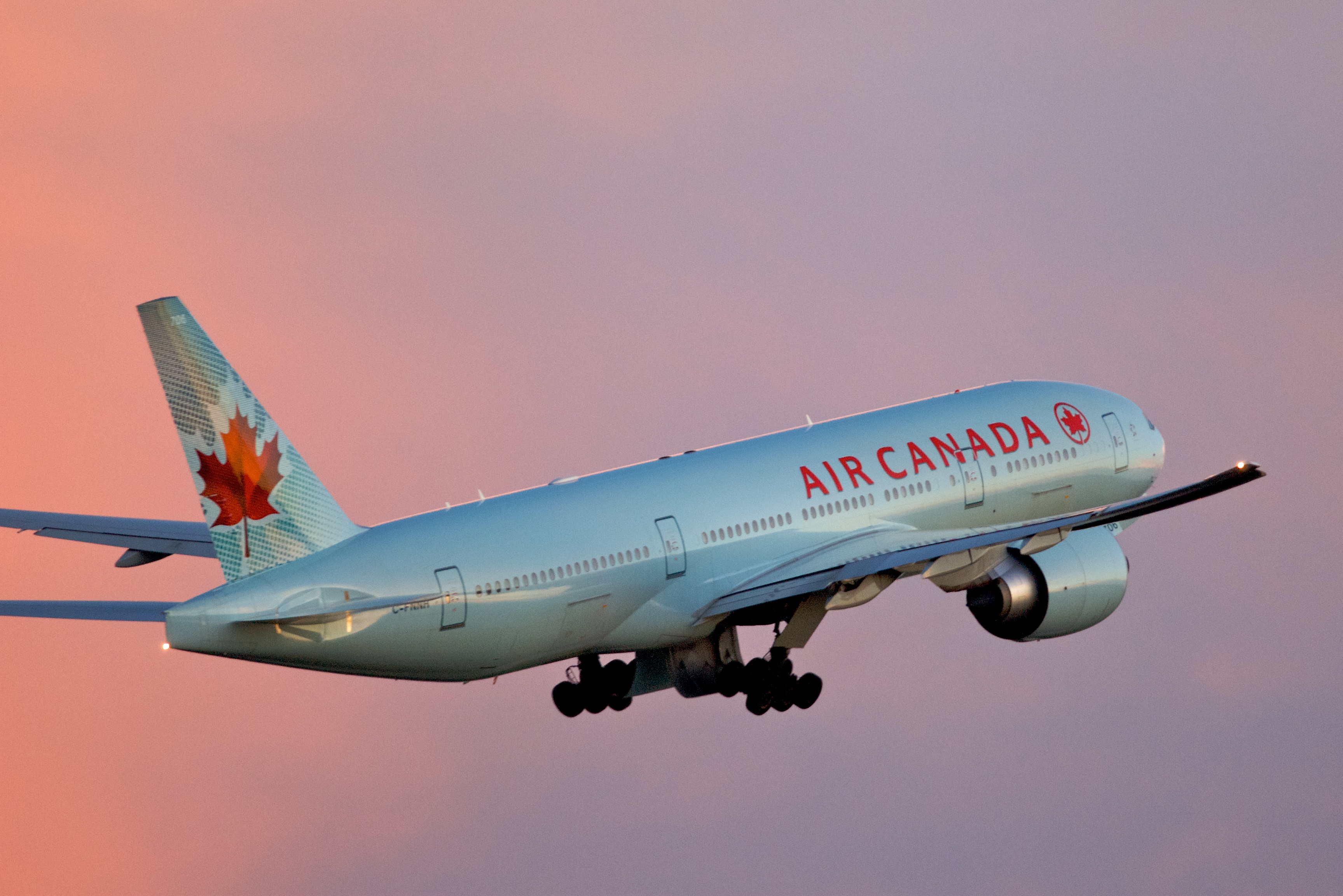 But Air Canada f*cked up. At the day of the festival, Air Canada's cargo-tracking system indicated the lobster shipment had arrived at the airport at 4 p.m. But when the festival organizers reached the customer service desk, they were told the shipment can't be found.