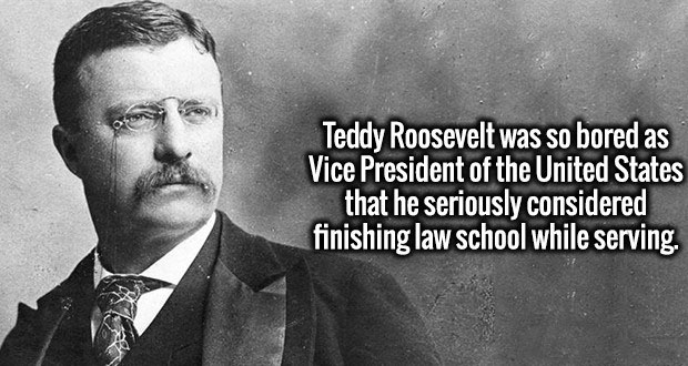teddy roosevelt - Teddy Roosevelt was so bored as Vice President of the United States that he seriously considered finishing law school while serving.