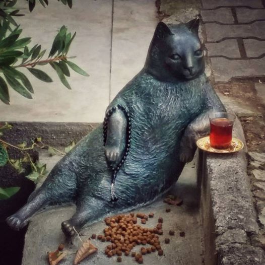 Well this cat, Tombili, was an unofficial mascot of his neighborhood and when he died local authorities unveiled a statue of the rotund cat sitting in his favorite spot and hundreds came to pay tribute.