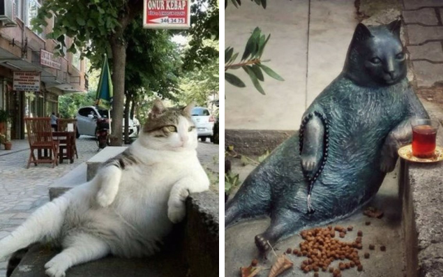 Tombili - a Turkish word often used for chubby pets - went viral after a photograph of him reclining was posted online. Many photo-shopped drinks into his paw, and joked that he looked like he ran the town. The cat died in August of a mystery illness, according to his owners. Posters appeared around the street where he used to sit, reading:  “You will live on in our hearts, mascot of our street”.