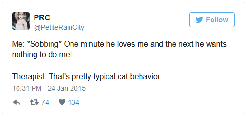 15 Reasons Why It's The Cats That Own Humans And Not The Other Way Around