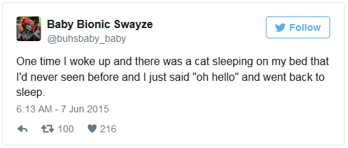 15 Reasons Why It's The Cats That Own Humans And Not The Other Way Around