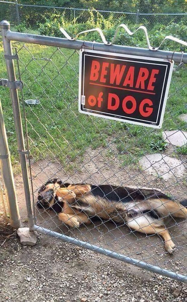 19 Beware Signs That Are Strangely Unreliable