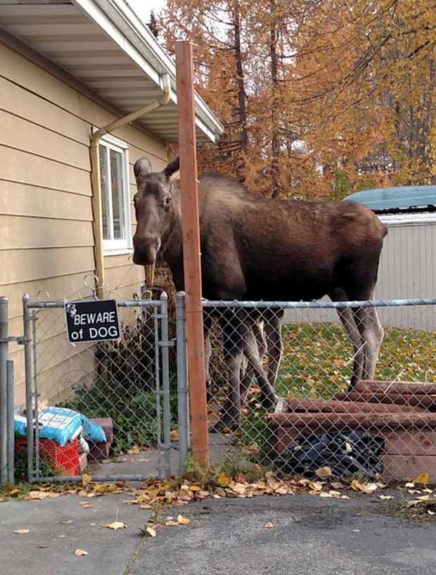 19 Beware Signs That Are Strangely Unreliable