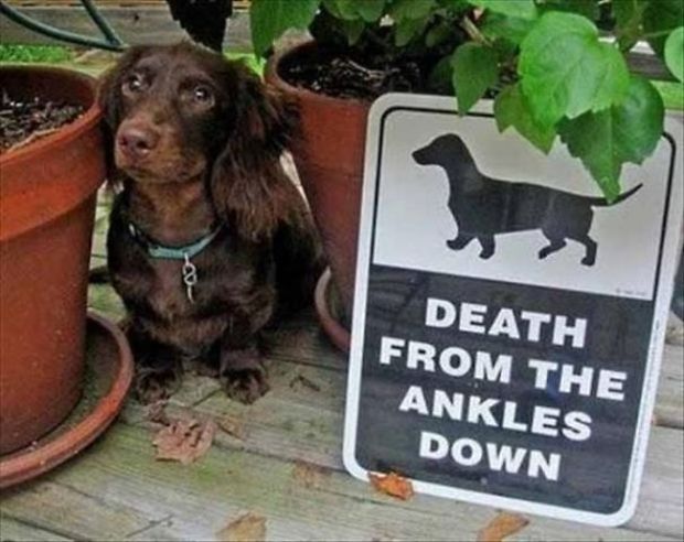 19 Beware Signs That Are Strangely Unreliable