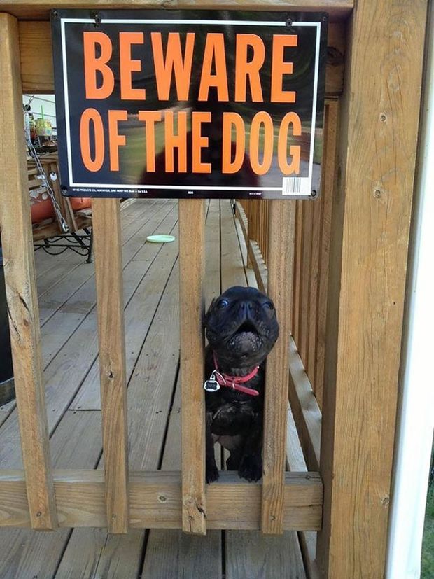 19 Beware Signs That Are Strangely Unreliable