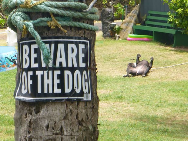 19 Beware Signs That Are Strangely Unreliable