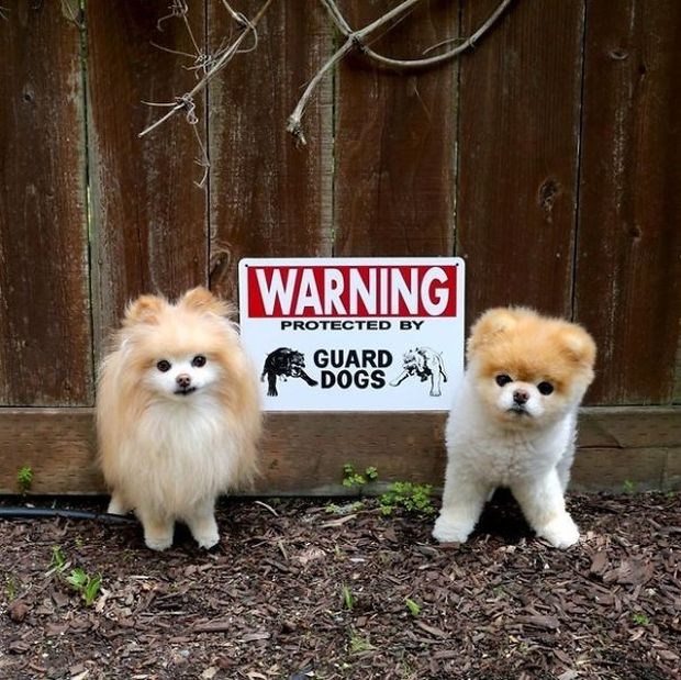 19 Beware Signs That Are Strangely Unreliable