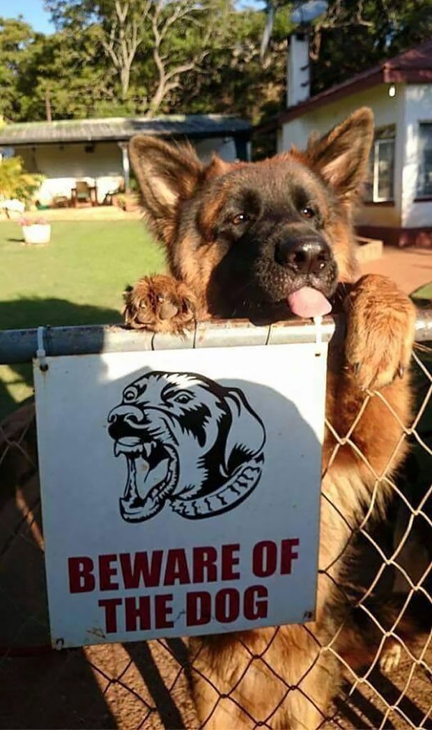 19 Beware Signs That Are Strangely Unreliable