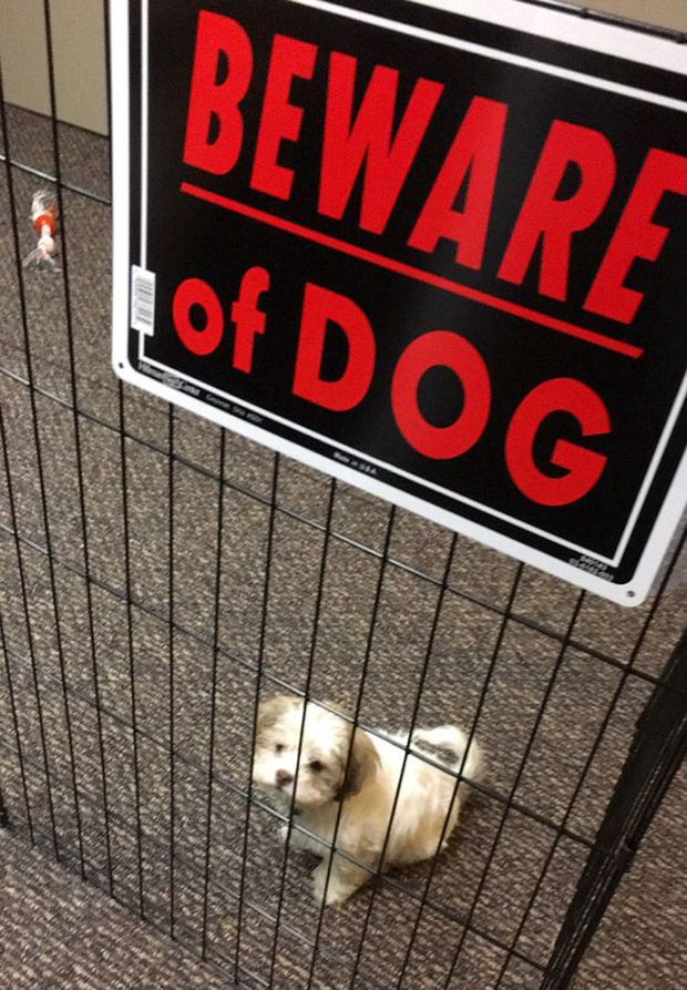 19 Beware Signs That Are Strangely Unreliable