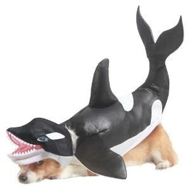 20 Awesome Halloween Costumes For Your Little Friend