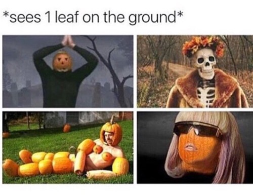 funny fall memes - sees 1 leaf on the ground