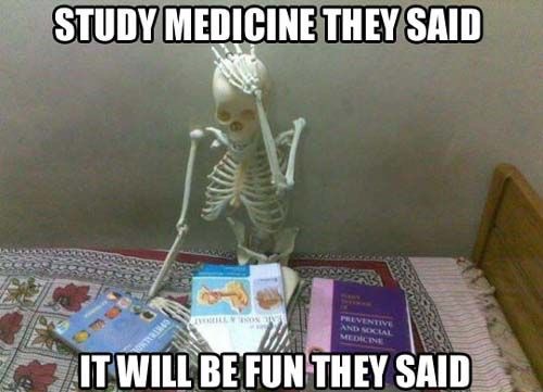 skeleton studying meme - Study Medicine They Said Med It Will Be Fun They Said