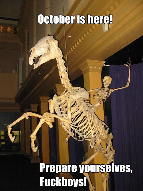 skeleton riding skeleton horse - October is here! Prepare yourselves, Fuckboys!