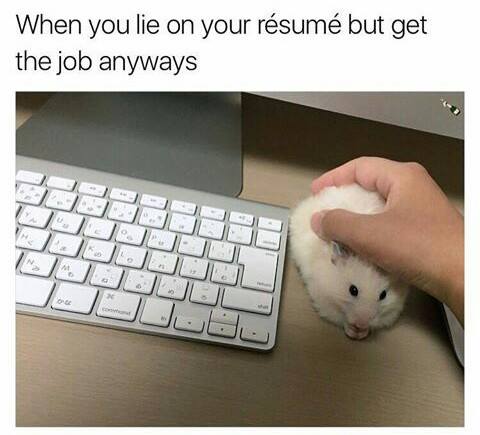 my mouse not working because its a hamster - When you lie on your rsum but get the job anyways
