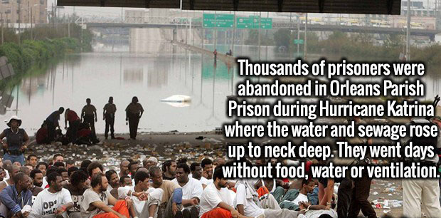new orleans prison katrina - Thousands of prisoners were abandoned in Orleans Parish Prison during Hurricane Katrina where the water and sewage rose up to neck deep. They went days without food, water or ventilation.