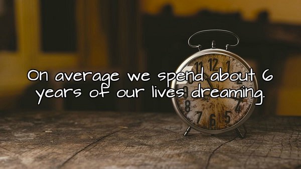 time quote - On average we spend about 6 years of our lives dreaming