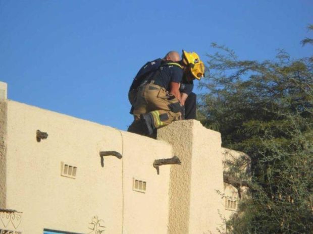 Can you guess what did they found in that chimney that was so stressful for the owner?