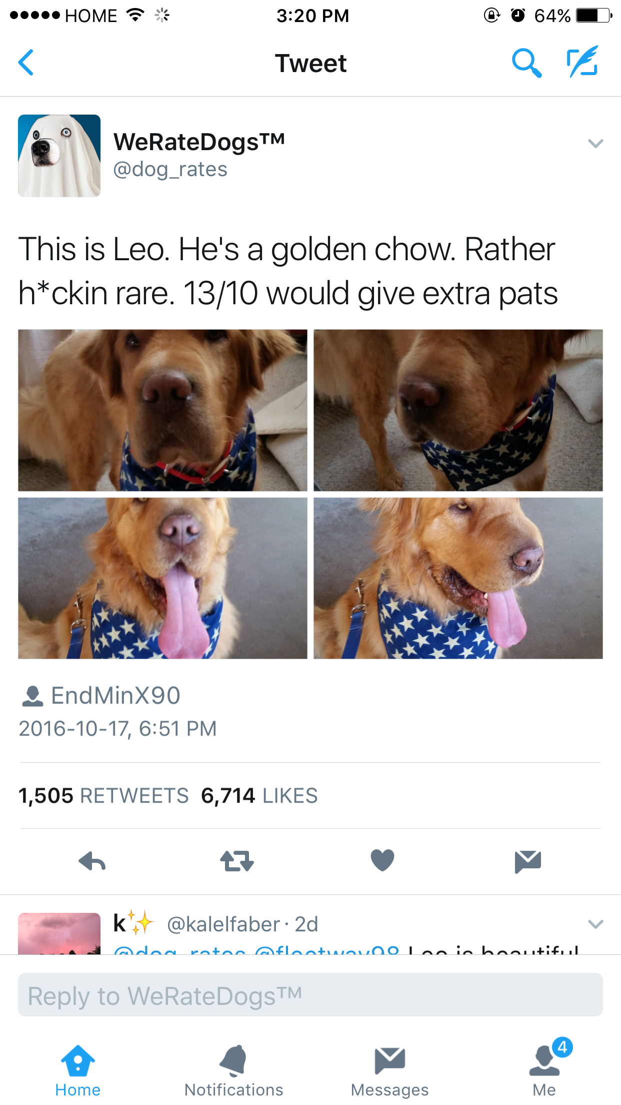 We Rate Dogs Are Back With A Bang