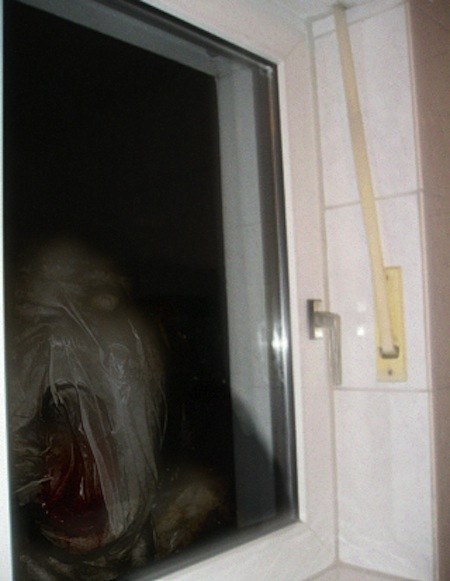 27 Creepy Photos That Will Give You The Chills