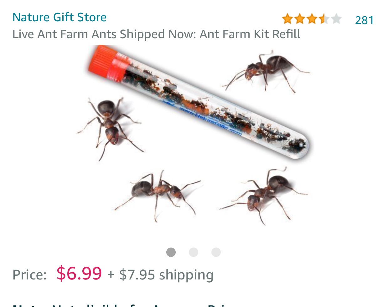 amazon reviews - ordering ants - Nature Gift Store tttt Live Ant Farm Ants Shipped Now Ant Farm Kit Refill 281 Price $6.99 $7.95 shipping