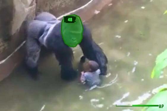 funny gaming memes - should zoos be abolished