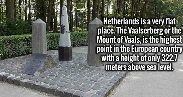 17 Fascinating Facts That Will Lift Your Spirits