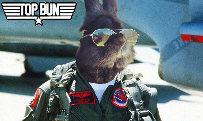 bunny photoshop tom cruise top gun