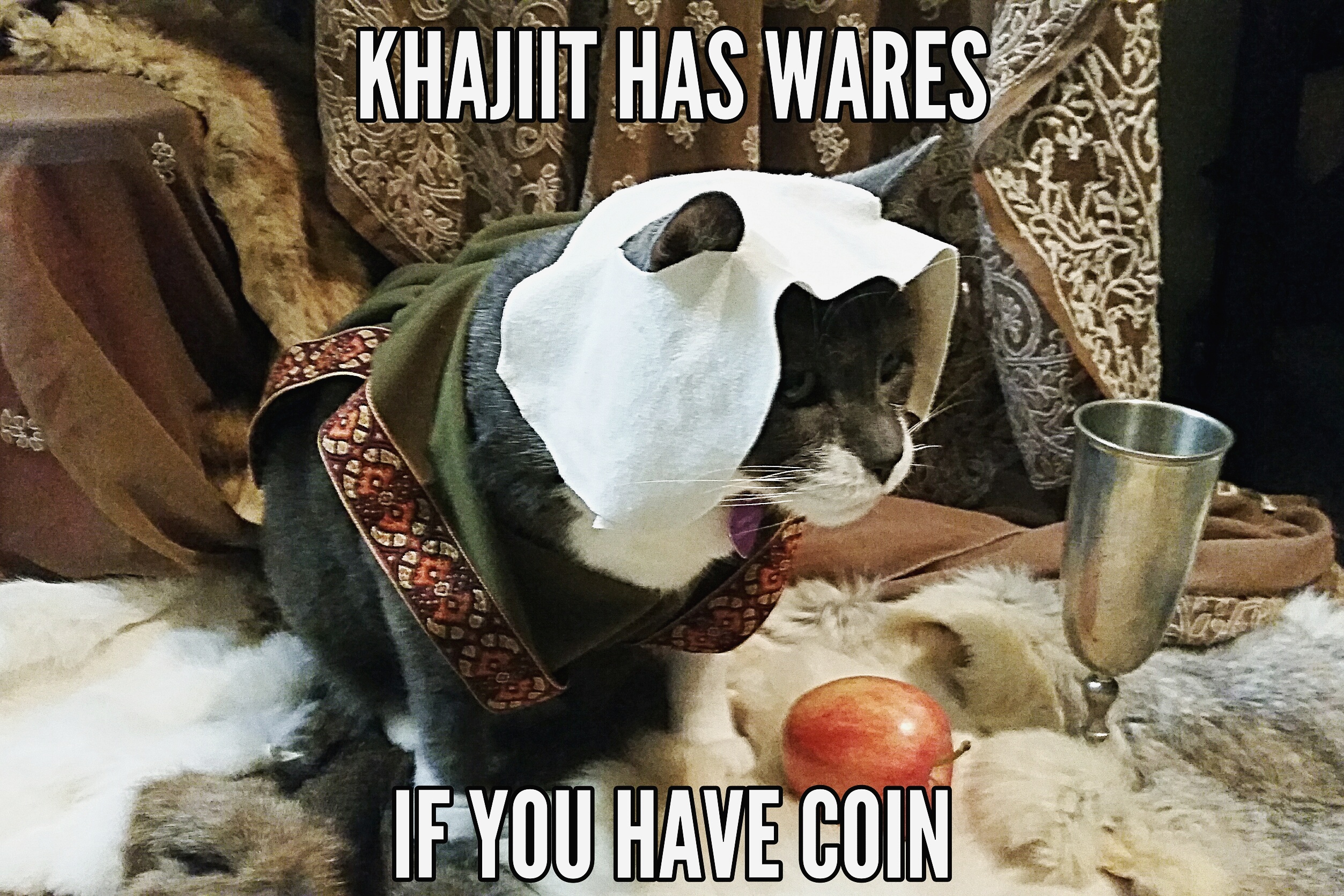 Khajiit Has Wares If You Have Coin