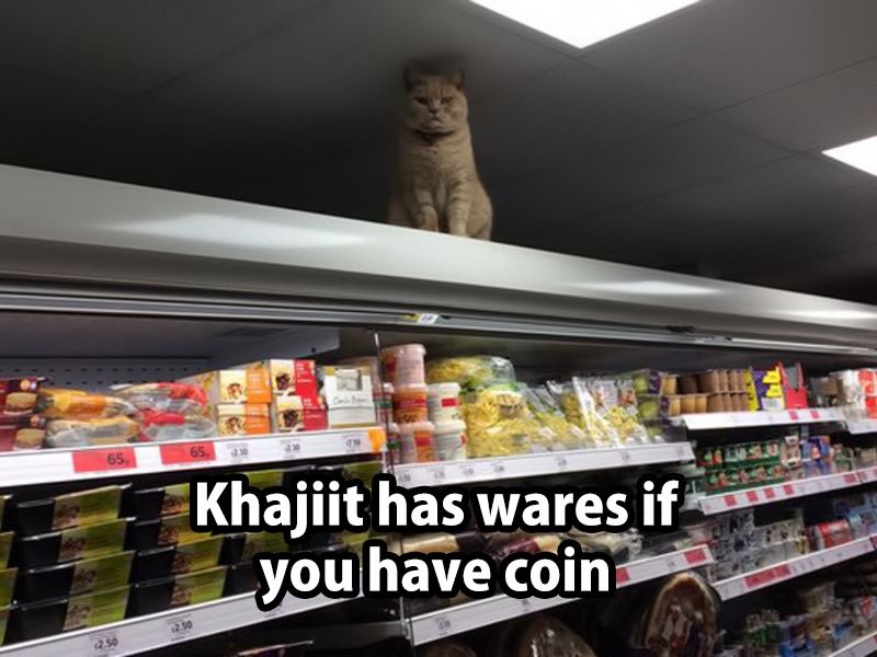 brockley sainsbury's cat - Khajiit has wares if a you have coin