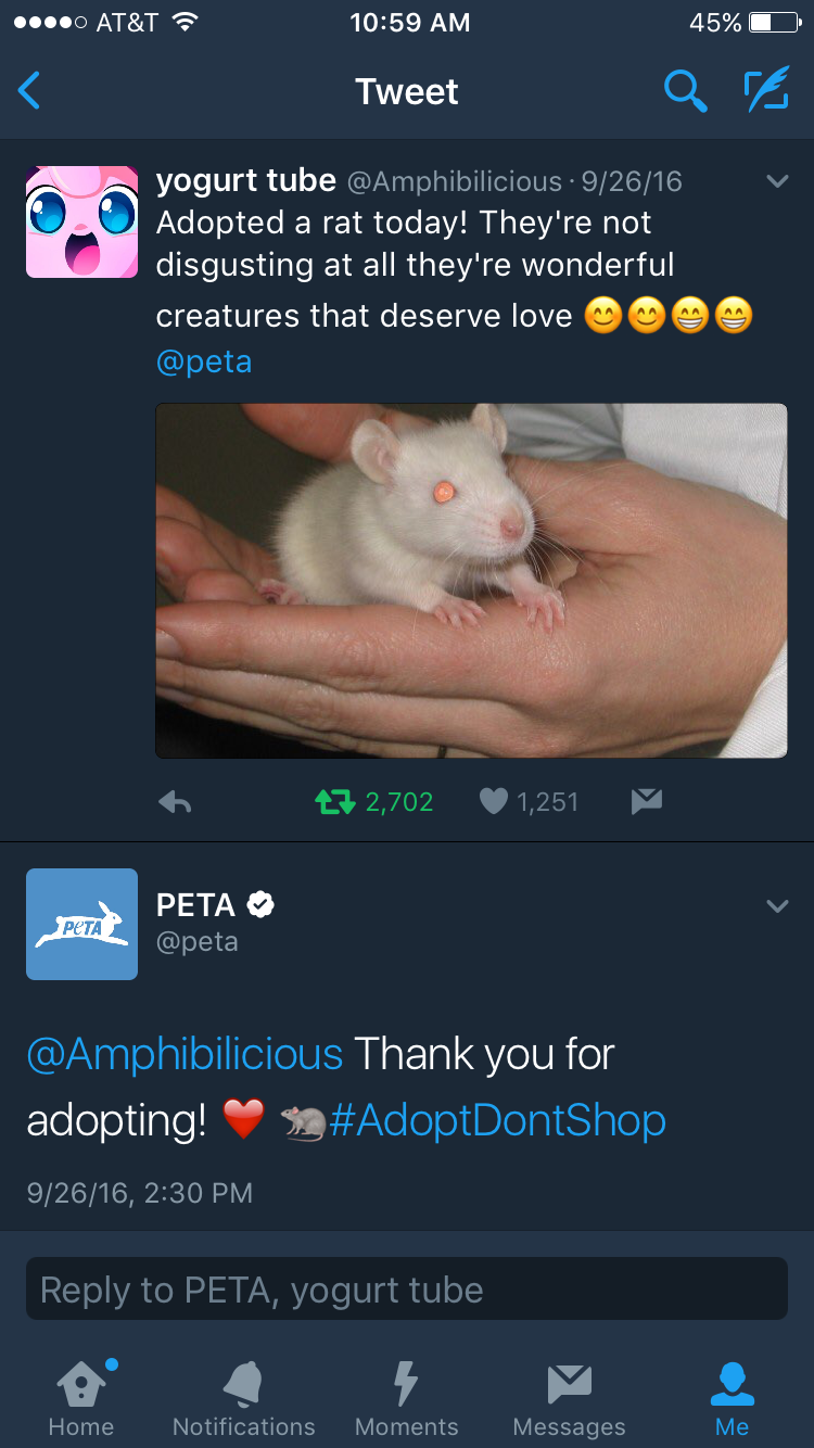 got bored of my rat - .... At&T 45%D art Tweet V yogurt tube Amphibilicious 92616 Adopted a rat today! They're not disgusting at all they're wonderful creatures that deserve love e e 72,702 1,251 peta Thank you for adopting! 92616, to Peta, yogurt tube Ho